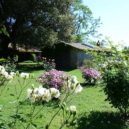 Tatil Evi Il Leccio *